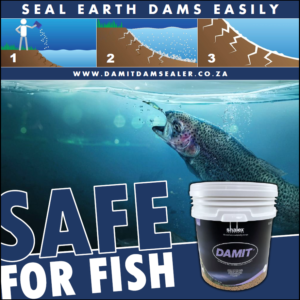 DAMIT - Block - Safe For Fish